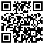 手机/微信访问网站